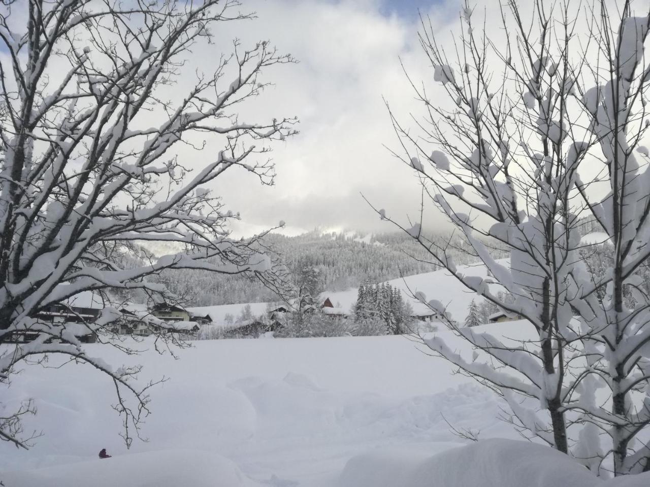 Höllhof Dachstein West